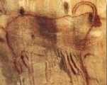 Grotte de Cougnac submitted by ocdolmen