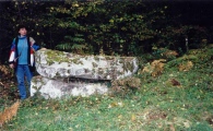 Ayer Dolmen - PID:42537