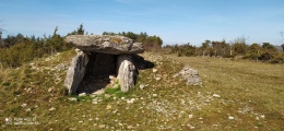 Dolmen de Peyrelebade 3 - PID:223239