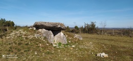 Dolmen de Peyrelebade 3 - PID:223237