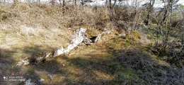 Dolmen de Peyrelebade 2 - PID:223292