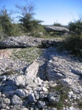 Dolmen du Pech Laglayre 1