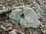 Vallée du Riberot - PID:42469