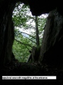 Vallée du Riberot Cave