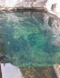 Fontaine des Chartreux - PID:298291