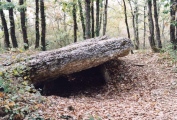 Dolmen de Peyrelevade (Septfonds) - PID:3678