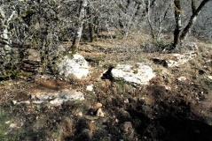 Dolmen de La Barraque