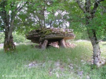 Dolmen du Champ de Monsieur