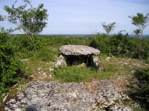 Dolmen du Pech Laglayre 1