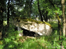 Dolmen dit la Pierre Levée (Pélissie)