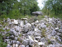 Brillaud dolmen