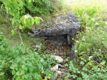 Genévrier Dolmen