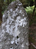 Menhir de la Crosse 1