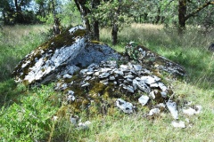 Dolmen de la Peyrière 1