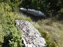 Dolmen de Baumescure Nord