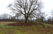 Dolmen de Barrade - PID:129809