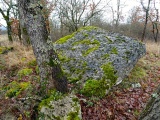 Dolmen de Barthe Soubronne - PID:129800