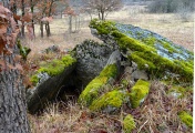 Dolmen de Barthe Soubronne - PID:129801
