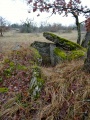 Dolmen de Barthe Soubronne - PID:129802