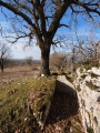Gniars dolmen - PID:130874