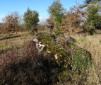 Dolmen du Pech Plumet 1 - PID:129804