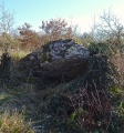 Dolmen du Pech Plumet 1 - PID:129803
