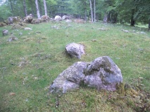 Hortz Zorrotz dolmen