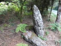Menhir de la Crosse 1