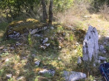 Dolmen de Pech de Montbrun 1 - PID:205931