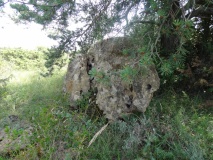 Navas menhir