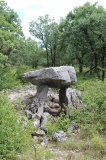 Brillaud dolmen