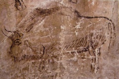 Grotte de Niaux