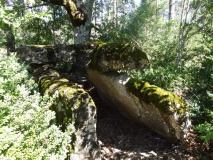 Dolmen de la Tâcherie