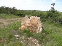 Dolmen de la Bergerie 1