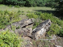 Dolmen des Bouscaillous 1