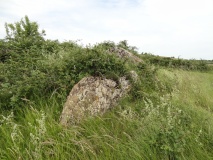 Dolmen de la Fontaine aux Chiens
