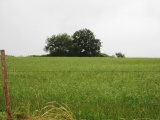 La Halliade tumulus submitted by irundarra