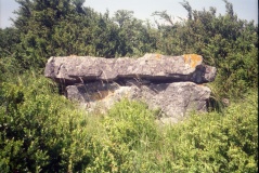 Dolmen de Mascourbe 2