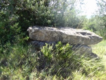 Azinières Dolmen 1