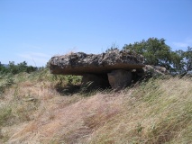 Buzareingues Dolmen 1