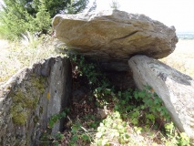 Dolmen de Peyro Lebado (Crespin)