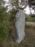 Menhir de Courtis