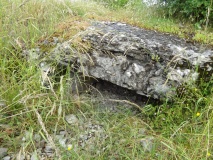 Genévrier Dolmen