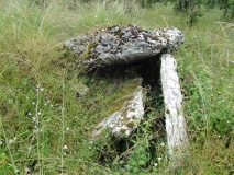 Dolmen du Pech Plumet 1