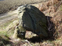 Dolmen du Peyre-Dusets