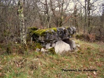 Fieux dolmen