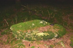 Dolmen de Recuquelle 2