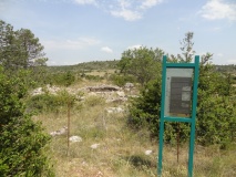 Dolmen de Saint-Martin-du-Larzac 3