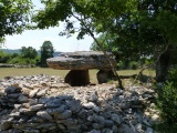 Dolmen de Combes-Hautes - PID:133745