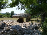 Dolmen de Combes-Hautes - PID:133745